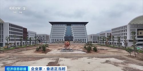 年近八十,投資百億元建大學 圖什么 曹德旺回應