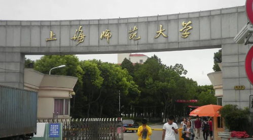 2020年新增專(zhuān)業(yè)名單 美術(shù)類(lèi)專(zhuān)業(yè)擴(kuò)展，助力本科教育多元化